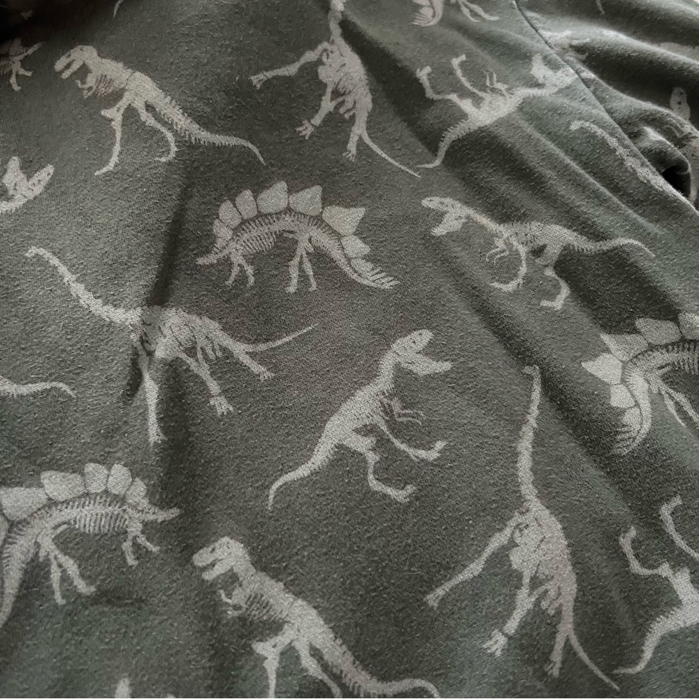 Boys 4-6 H&M dinosaur hoodie olive green